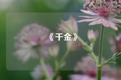 《千金》