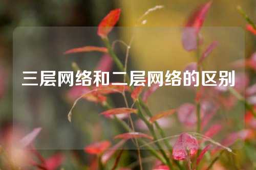 三层网络和二层网络的区别