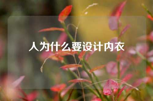 人为什么要设计内衣
