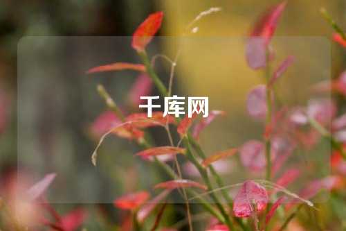 千库网