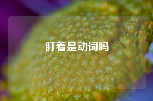 盯着是动词吗