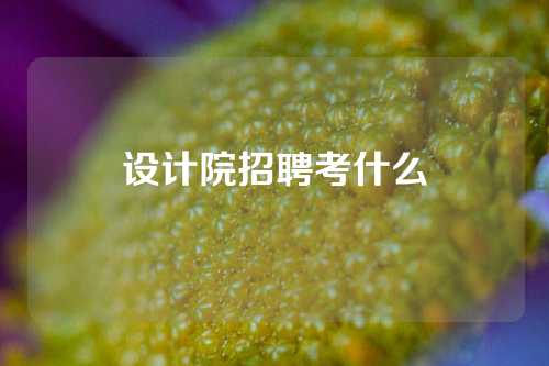 设计院招聘考什么