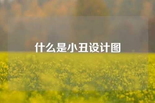 什么是小丑设计图