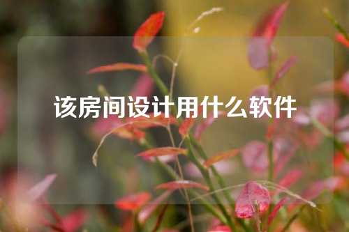 该房间设计用什么软件