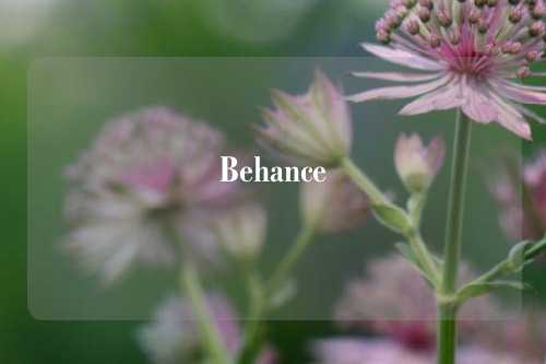 Behance
