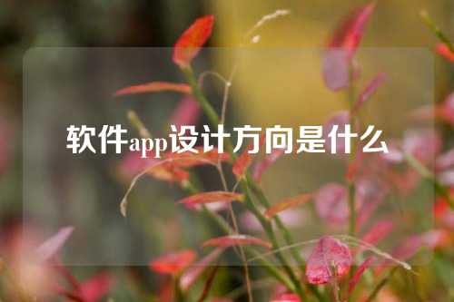 软件app设计方向是什么