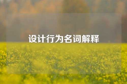 设计行为名词解释