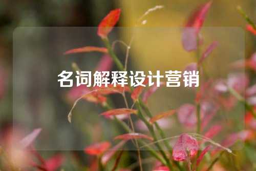 名词解释设计营销