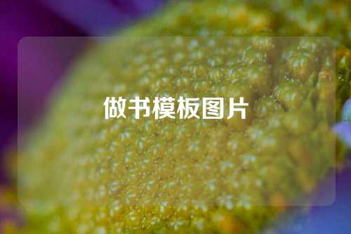 做书模板图片
