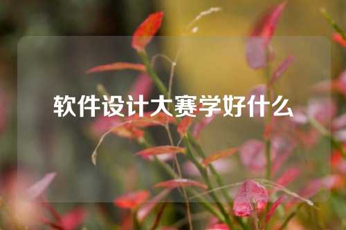软件设计大赛学好什么