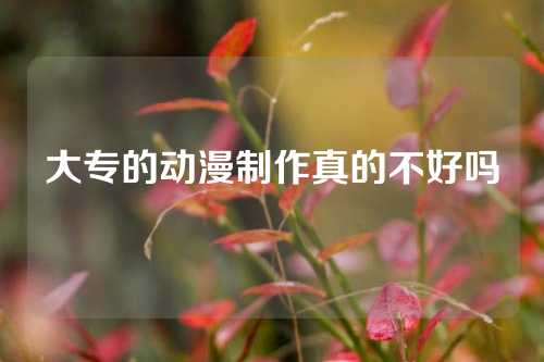 大专的动漫制作真的不好吗
