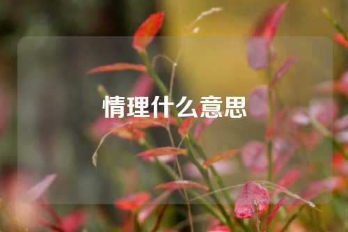 情理什么意思