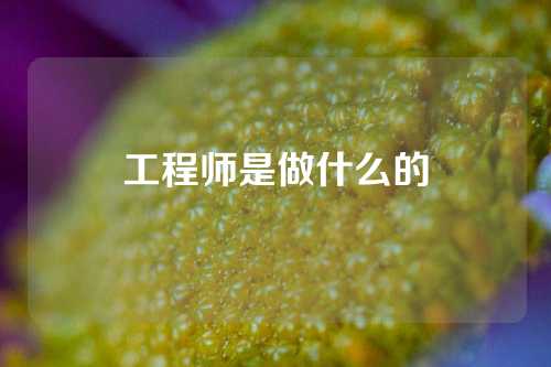 工程师是做什么的