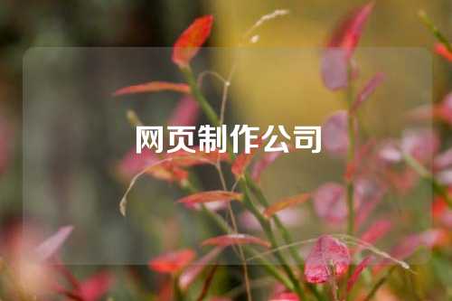 网页制作公司