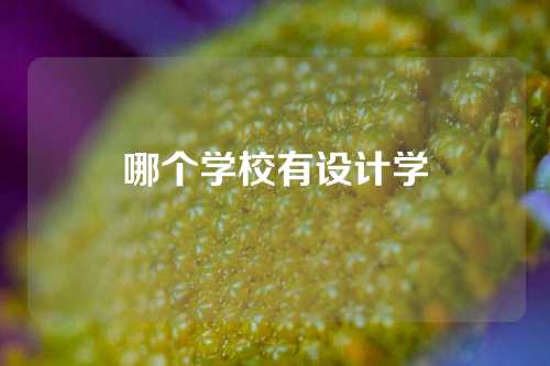 哪个学校有设计学