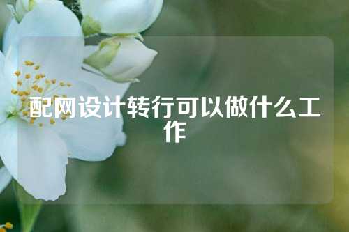配网设计转行可以做什么工作