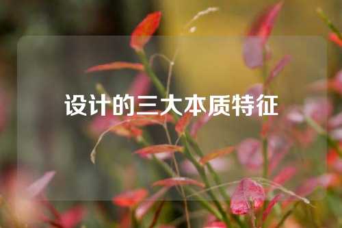 设计的三大本质特征