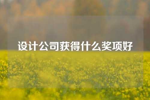 设计公司获得什么奖项好