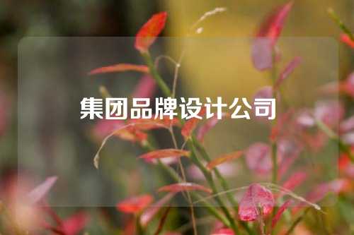 集团品牌设计公司