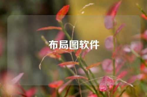 布局图软件