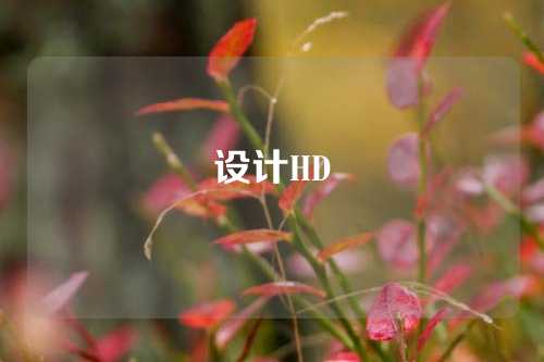设计HD