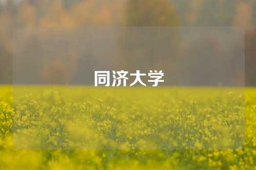 同济大学