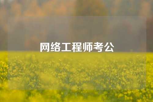 网络工程师考公