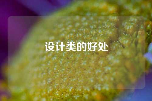 设计类的好处