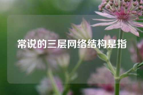 常说的三层网络结构是指