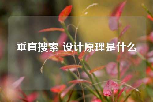 垂直搜索 设计原理是什么