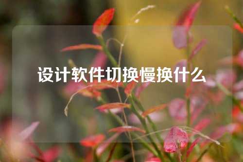 设计软件切换慢换什么