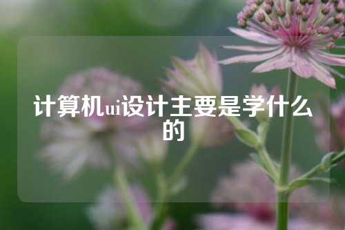 计算机ui设计主要是学什么的