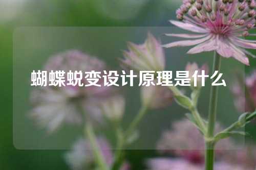 蝴蝶蜕变设计原理是什么