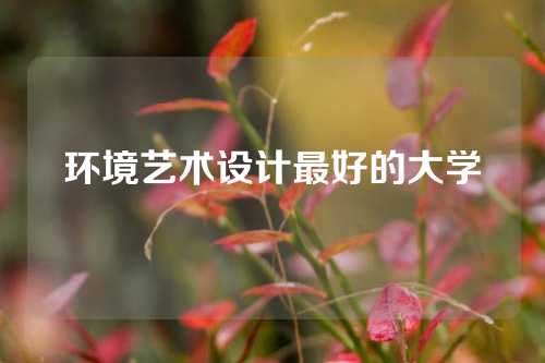 环境艺术设计最好的大学