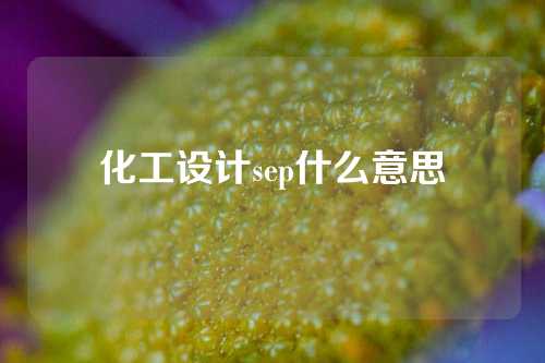化工设计sep什么意思