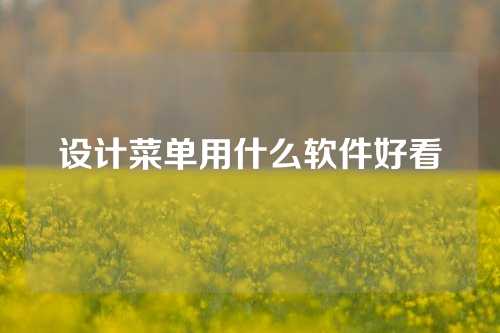 设计菜单用什么软件好看