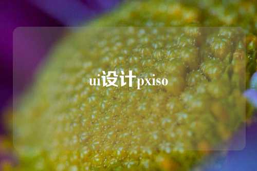ui设计pxiso