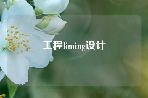 工程liming设计