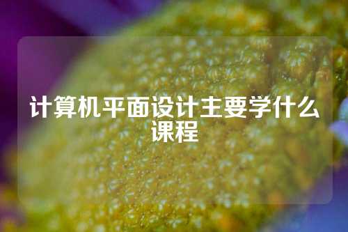 计算机平面设计主要学什么课程