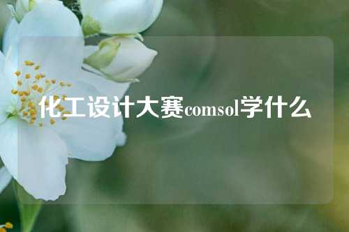 化工设计大赛comsol学什么
