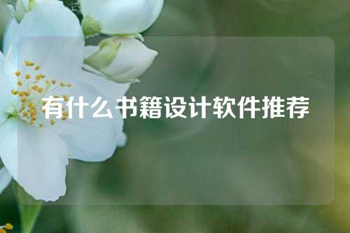 有什么书籍设计软件推荐