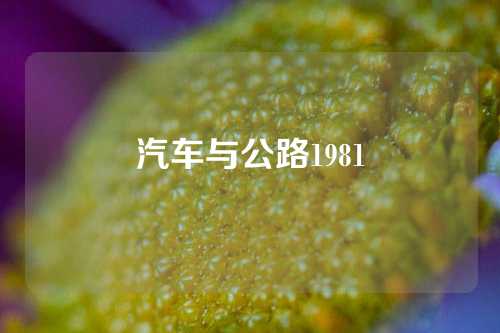 汽车与公路1981