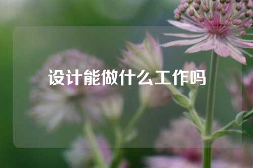 设计能做什么工作吗