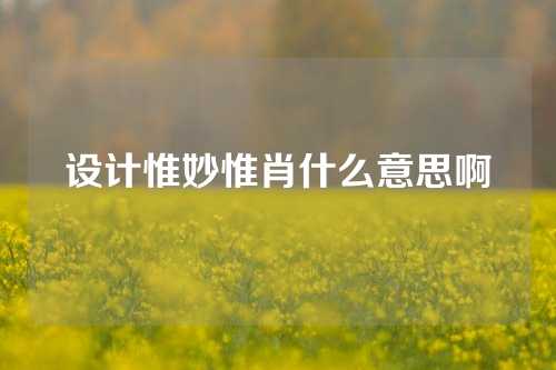 设计惟妙惟肖什么意思啊