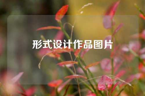 形式设计作品图片