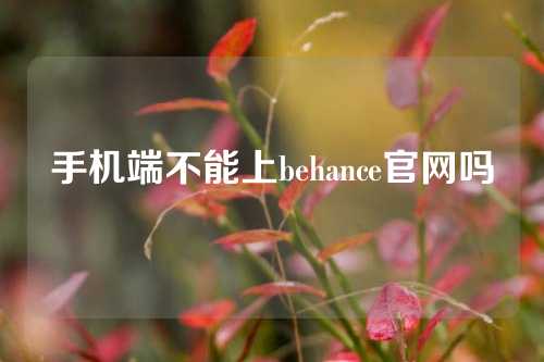 手机端不能上behance官网吗