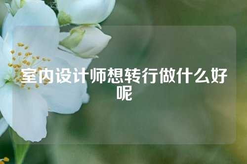 室内设计师想转行做什么好呢