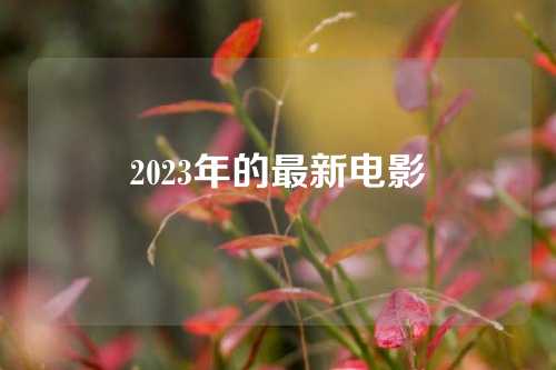 2023年的最新电影