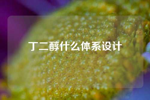 丁二醇什么体系设计