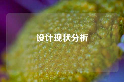 设计现状分析